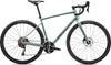 Specialized DIVERGE E5 ELITE WHTSGE/TPE - gravel dviratis