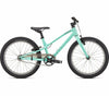 Specialized Jett 20 Single Speed Int Ois/Fstgrn - vaikiškas dviratis