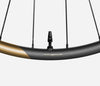 MP30LTD SHIMANO MS REAR Metallic Golden Sand Matt