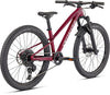 Specialized Riprock Expert 24 - vaikiškas dviratis