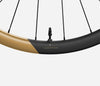 RP35LTD SHIMANO HG REAR Metallic Golden Sand Matt