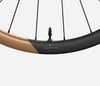 RP35LTD SRAM XDR REAR Metallic Cinnamon Matt