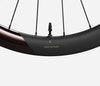 RP50LTD SHIMANO MS REAR Burning Ashes Gloss