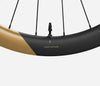 RP50LTD SHIMANO MS SET Metallic Golden Sand Matt