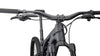 Turbo Levo Black / Light Silver / Black