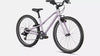 JETT 24 INT CLY/CSTUMBR - vaikiškas dviratis