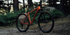 Orbea ONNA 29 10 Brick Red (Matte) - Green (Gloss) - kalnų dviratis